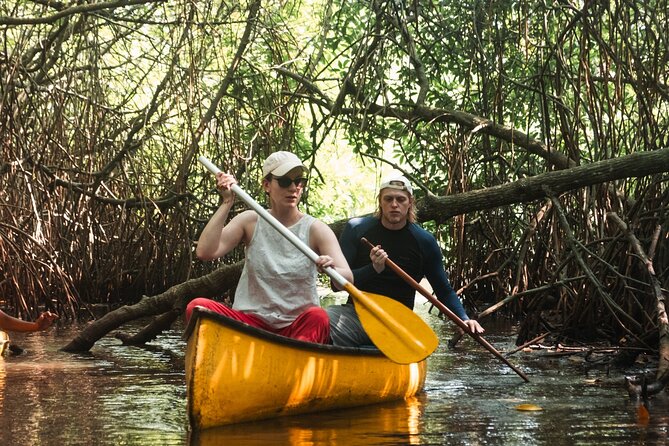 Unawatuna Lagoon Canoeing Excursion - Getting to Unawatuna Lagoon: the setup that keeps things easy