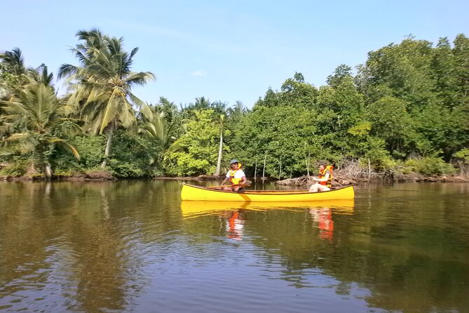 Unawatuna Lagoon Canoeing Excursion - What you actually get included (and what you don’t)