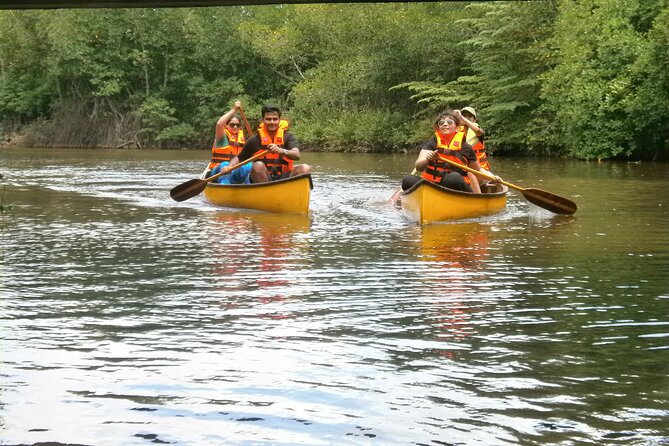 Unawatuna Lagoon Canoeing Excursion - What the 1–2 hour canoe trip feels like in real life