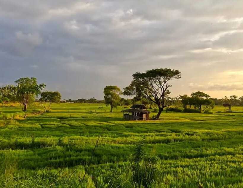 Unseen Sigiriya: Village & Rock Viewpoints by Tuk Tuk - Practical Notes That Affect Your Day