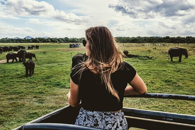 VALUE PACK! One Day Safari Tour to Yala and Udawalawa Parks - Yala National Park Game Drive: Leopard Odds and Real Safari Time