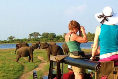 VALUE PACK! One Day Safari Tour to Yala and Udawalawa Parks - Bentota Pickup to Yala Gate: The Start Matters
