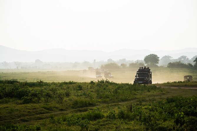 VALUE PACK! One Day Safari Tour to Yala and Udawalawa Parks - Udawalawe National Park Half-Day: Elephants Are the Main Event