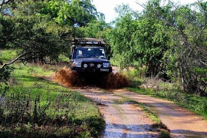 VALUE PACK! One Day Safari Tour to Yala and Udawalawa Parks - Guides, Language, and Photo Power: How the Day Can Change