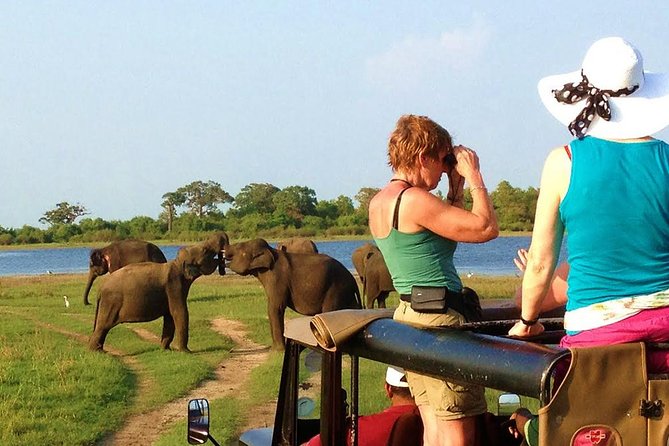 VALUE PACK! One Day Safari Tour to Yala and Udawalawa Parks - Bentota Pickup to Yala Gate: The Start Matters
