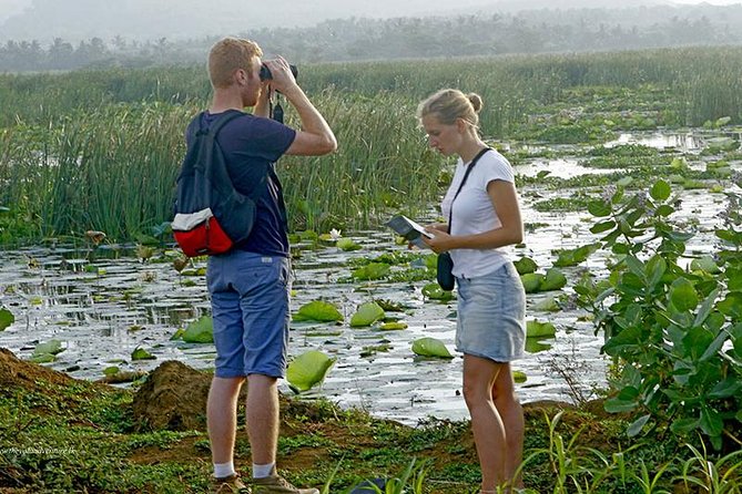 Village Expedition in Yala By Tuk-Tuk from Hambantota Harbor - From Hambantota Pier to the Yala Start Point
