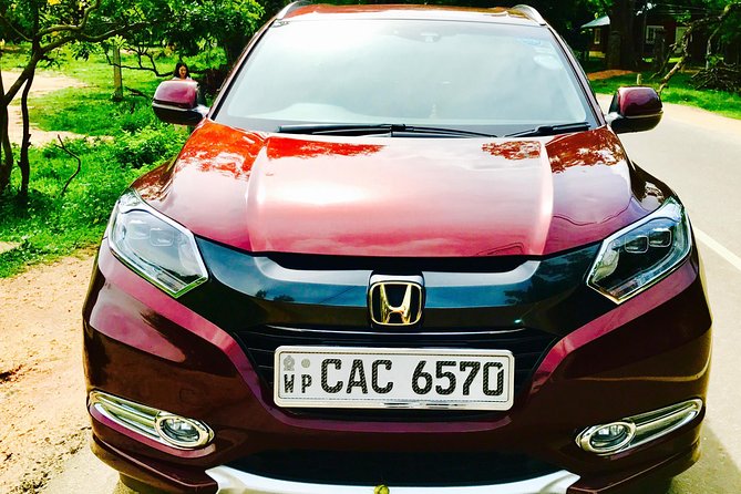 VIP Transport - Driver Quality: Road Wisdom Plus a Human Touch