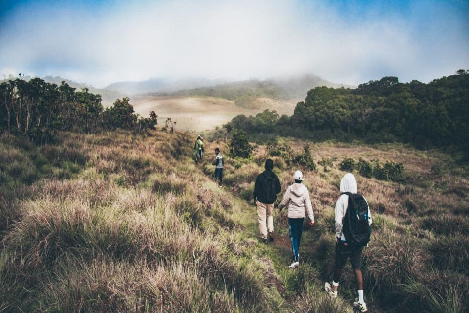 Visit Horton plains and Nuwara Eliya from Ella - Driver and Guide Experience: English, Timing, and Safety