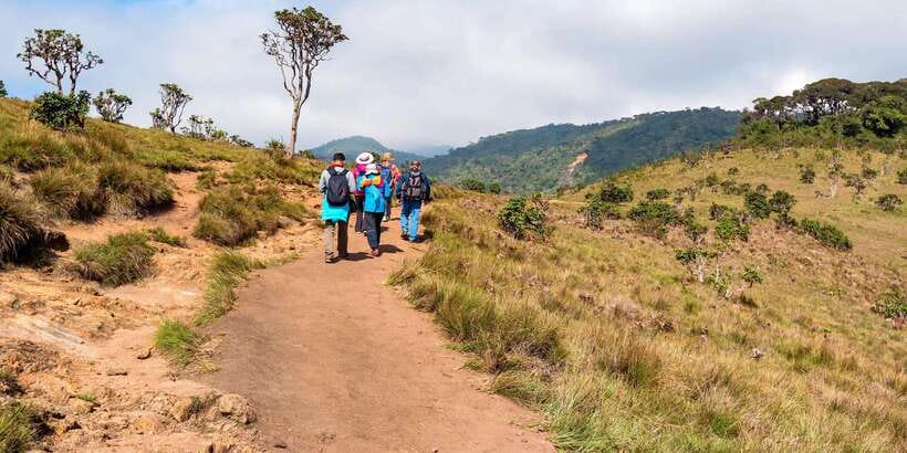 Visit Horton plains and Nuwara Eliya from Kandy - Baker’s Falls: the second half of the day’s big payoff