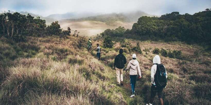 Visit Horton plains and Nuwara Eliya from Kandy - How the 8-hour flow feels in real life