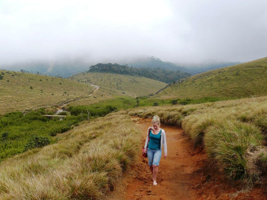 Visit Horton plains and Nuwara Eliya from Kandy - Price and value: what $70 buys (and what it doesn’t)