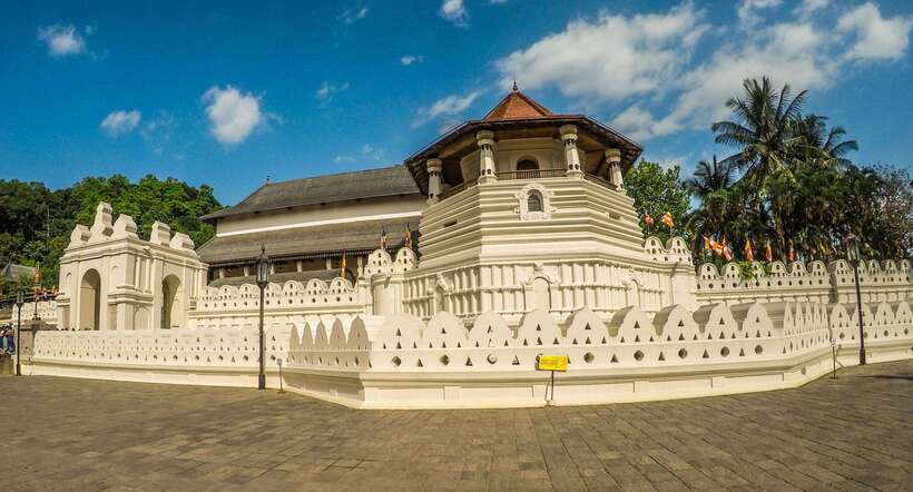 Visit sri Lanka 7 Days Round Trip - Mirissa or Weligama: whale watching session and beach downtime