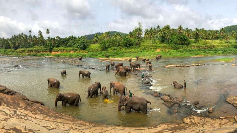 Visit sri Lanka 7 Days Round Trip - Day 7: Galle Fort + optional Madu River boat safari, then Colombo