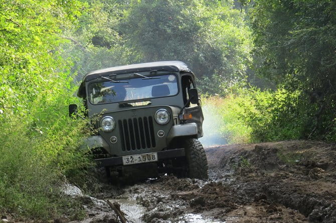 Wasgamuwa National Park Safari from Kandy - Price and Logistics: What the $104 Gets You (and What It Doesn’t)