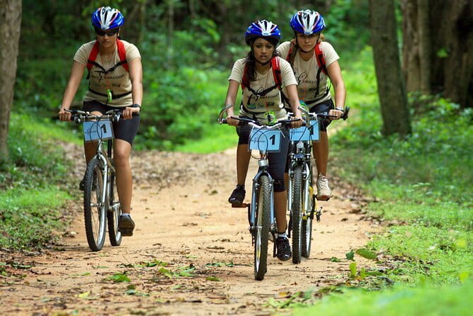 Wasgamuwa National Park Safari from Kandy - The Jeep Safari Experience: How to Make the Most of Your 3 Hours