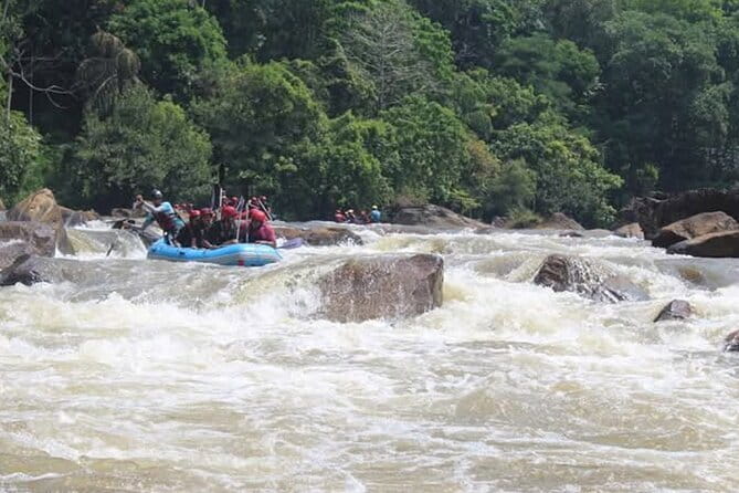 Wasgamuwa National Park Safari from Kandy - What Animals You Might See (Beyond Elephant Photos)