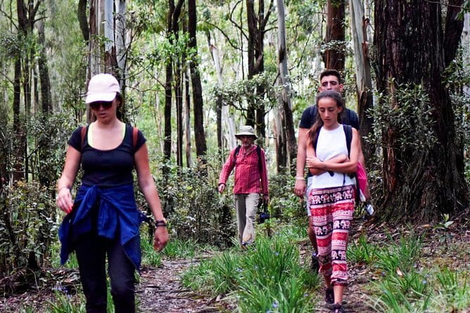 Wasgamuwa National Park Safari from Kandy - Practical Tips for a Comfortable, High-Success Safari