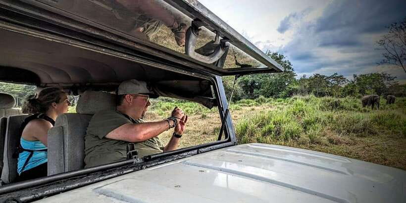 Wasgamuwa National Park Safari (Private Jeep) - What You Might See: Elephants, Monkeys, Leopards, and Birds