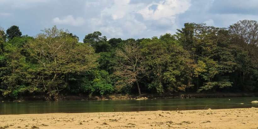 Wasgamuwa: Wasgamuwa National Park Private 3-Hour Safari - Water Pools and Predator Chances: Crocodiles, Pythons, Monitors
