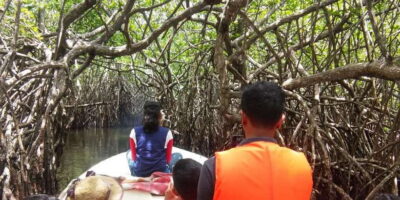 West coast Beach, River Mangroves lagoon, Wildlife boat Tour - Pickup Along Sri Lanka West Coast: van time, viewpoints, and first stops