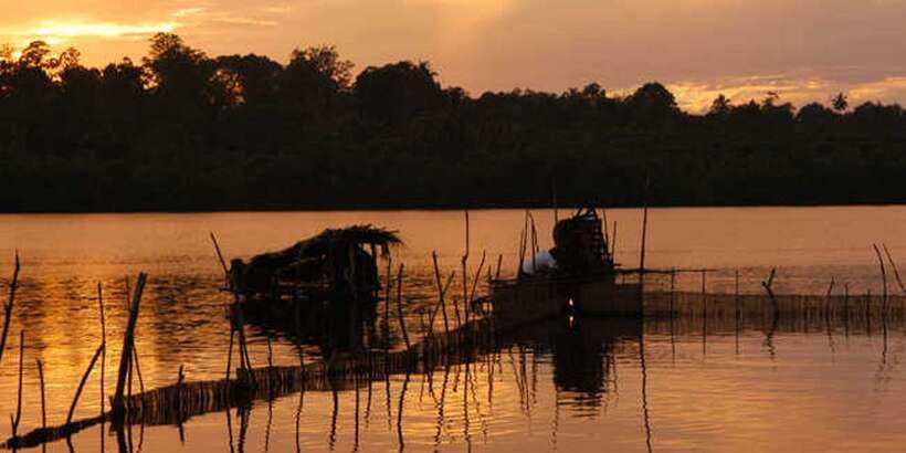 West coast Beach, River Mangroves lagoon, Wildlife boat Tour - Slow boat safari through Madu Ganga: birds, crocodile chances, and mangrove roots