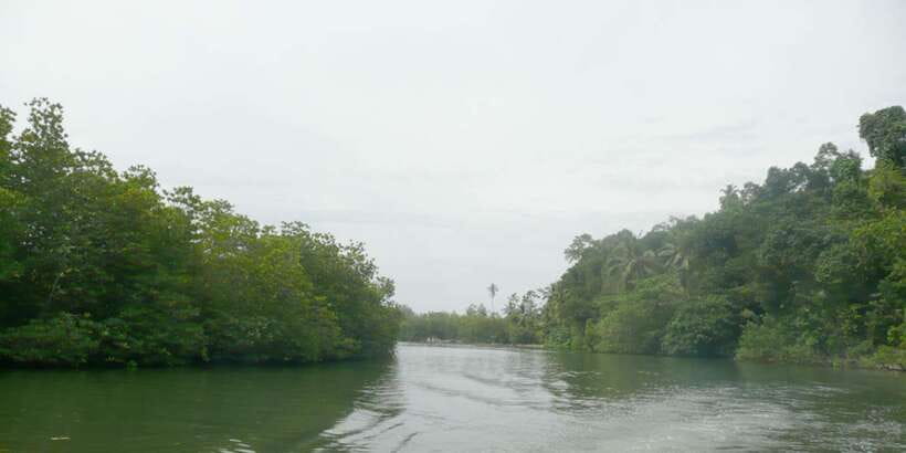 West coast Beach, River Mangroves lagoon, Wildlife boat Tour - Temple island, mask museum, and carving center: culture with real texture