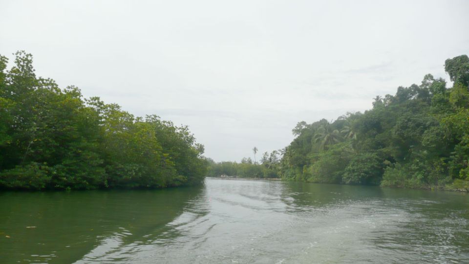 West coast Beach, River Mangroves lagoon, Wildlife boat Tour - Bentota beach stroll, spice/herbal garden, and the extras that add time