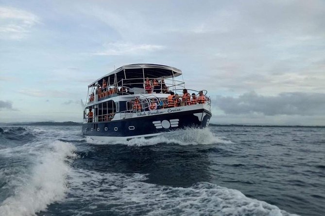 Whale Watching Experience in Mirissa - Mirissa morning timing: getting to the water without stress