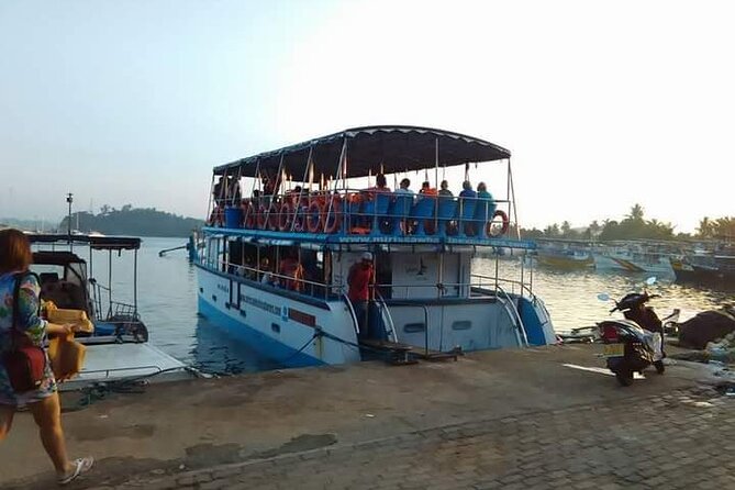 Whale Watching Experience in Mirissa - Dolphins, turtles, flying fish, and other possible bonuses