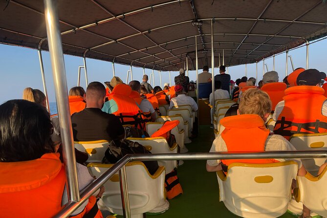 Whale Watching From Colombo - Should you book whale watching from Colombo?