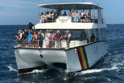 Whale Watching Mirissa with ( WWC ) - Queen Whale catamaran: comfort, space, and why it matters for viewing