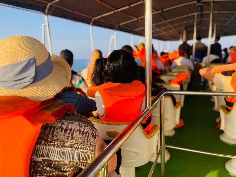 Whale Watching Tour with Transfers - Hotel transfers from Colombo, Negombo, Kalutara, and Bentota