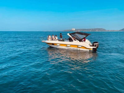 Whale Watching Tour with Transfers - Price and logistics: what $175 covers (and what it doesn’t)
