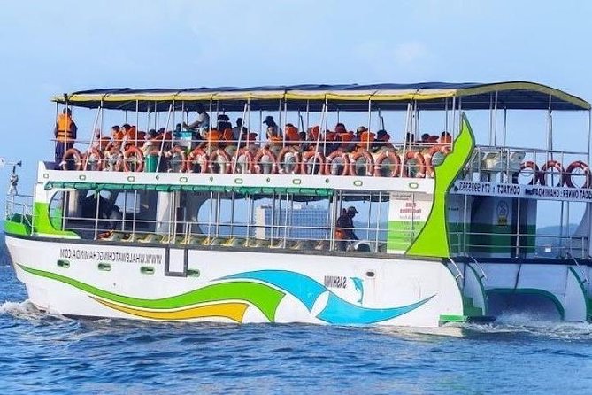 Whales and Dolphins Watching-Luxury Super Grade Cruiser(Hotel Pick up offered) - Key Highlights Worth Booking For