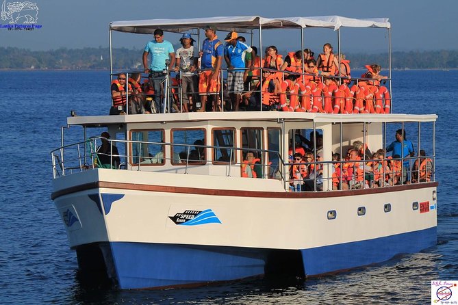 Whales and Dolphins Watching Mirissa - On the water: dolphins, killer whales, and the blue whale odds