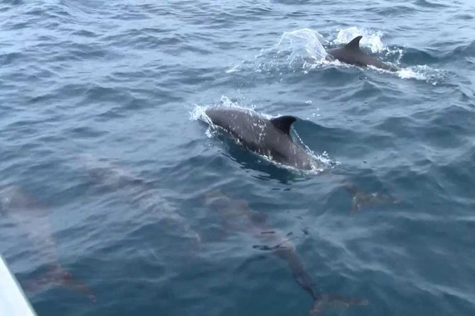 Whales and Dolphins Watching Mirissa - Moonstone mines and Gem Palace: what you’ll see in 30 minutes