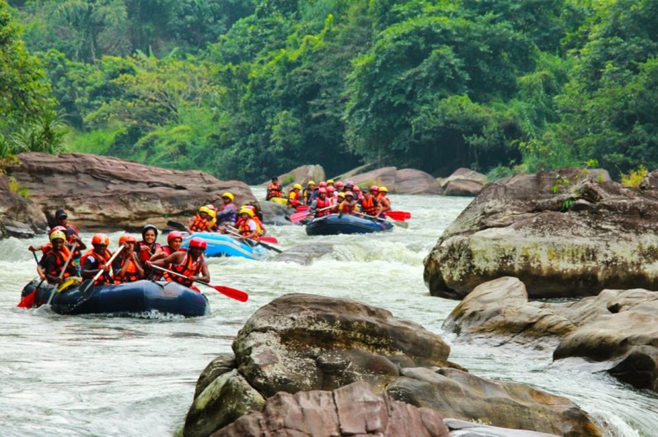 White Water Rafting in Kitulgala - Price and value at about $24 per person