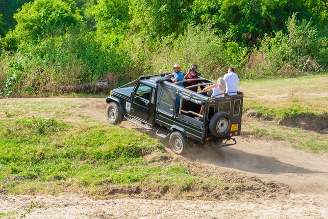 Wild Elephant Safari in Minneriya National Park - Practical tips that make a noticeable difference