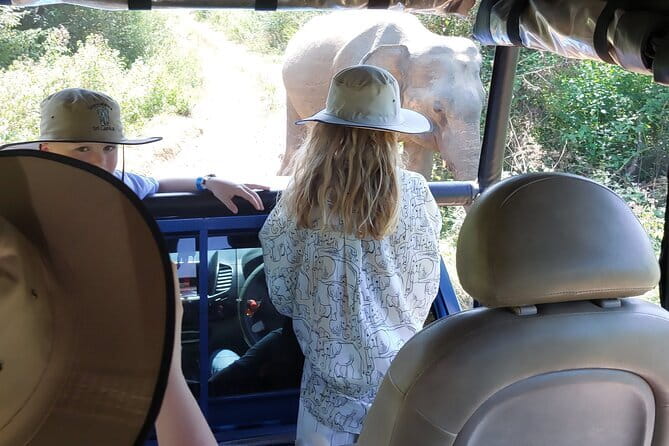Wildlife Safari Yala National park - Yala National Park Safari Time: Elephants, Leopards, and Birdlife