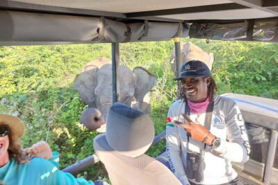 Wildlife Safari Yala National park - Udawalawa Elephant Orphanage: Why a Second Elephant Stop Helps