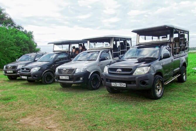 Wildlife Safari Yala National park - Price and Value: Is $160 a Fair Deal for 5 to 8 Hours?
