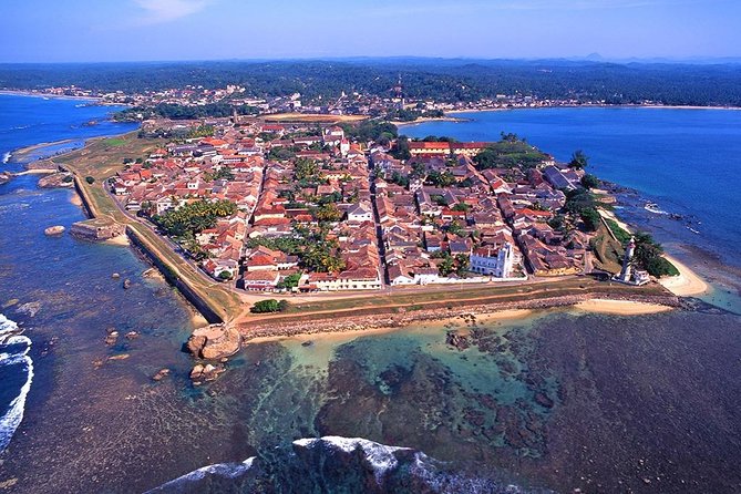 Wildlife Sri Lanka Tour 10 Days - Day 4: Sigiriya Lion Rock climb plus an evening bird-watching outing