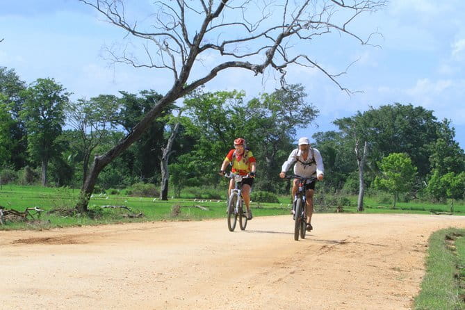 Wilpattu Half Day Safari From Anuradhapura - Weather, odds, and setting expectations the smart way