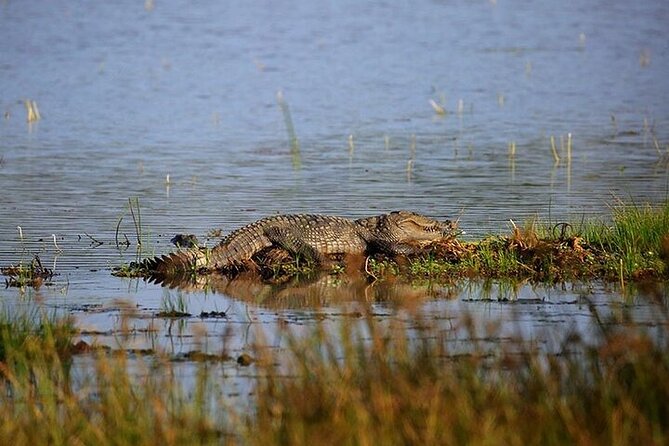 Wilpattu National Park Jeep Safari from Negombo / Waikkal (All Inclusive) - Negombo/Waikkal pickup and the long-drive reality