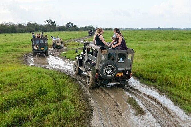 Wilpattu National Park Jeep Safari from Negombo / Waikkal (All Inclusive) - Price and what $152 buys you (and what it doesn’t)