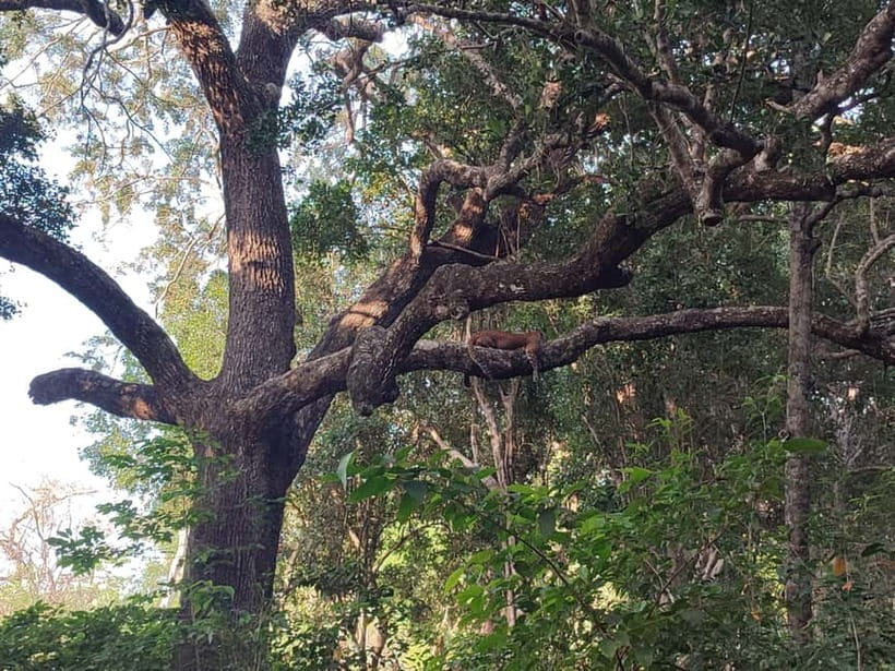 Wilpattu National park: Morning or Afternoon PRIVATE Safari - Wilpattu’s secret weapon: the villus lakes