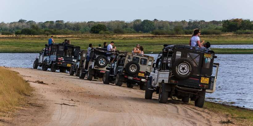 Wilpattu National Park Safari Tour from Colombo - Price and Value: What $105 Really Buys You