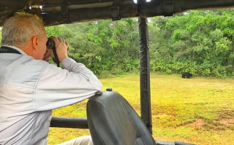 Wilpattu: Private Safari Day Trip with Lunch & Entry Fees - Lunch in Wilpattu: included meals, timing, and how to use the break