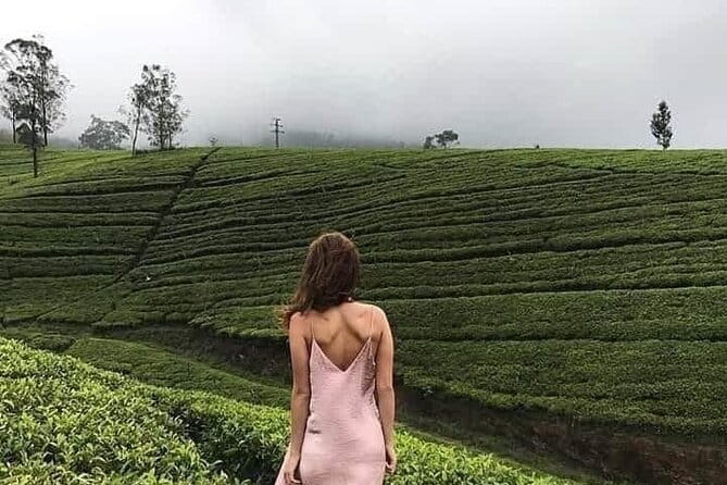 Wonderful Srilankan 14 Days Tours - Price and value: what the $1,150 really buys (and what you’ll still pay)