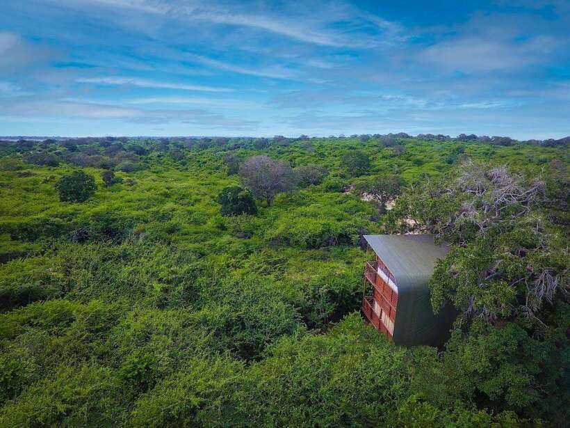 Yala: All Inclusive Overnight Glamping and Safari - Lunch by the pool after the safari: finishing strong, not rushing out